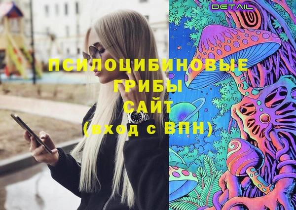 амф Верхний Тагил